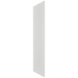 Fabuwood Frost REP3096 x 1 1/2 Panel, Front View