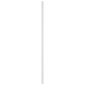Fabuwood Frost TF3120 Tall Filler, Front View