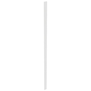 Fabuwood Frost TF3120 Tall Filler, Top View