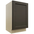 Fabuwood Fusion Kona VB21FD Vanity Base Full Height Cabinet, Front View