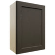 Fabuwood Fusion Kona W2130 Wall Standard Cabinet, Front View