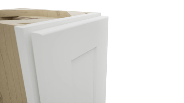 Fabuwood Galaxy Frost B09FD-12D Base Full Door Cabinet, Detail View