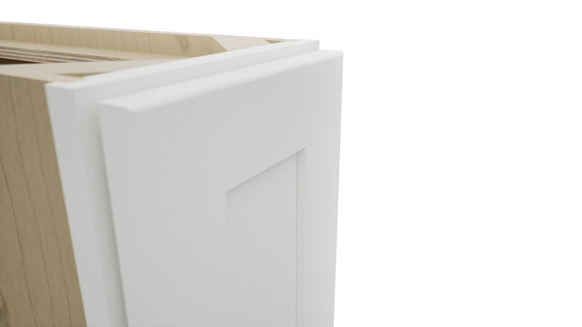 Fabuwood Galaxy Frost B09FD Base Full Door Cabinet, Detail View