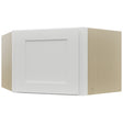 Fabuwood Galaxy Frost WDC2415 Wall Corner Diagonal Cabinet, Front View