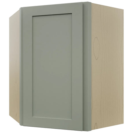 Fabuwood Galaxy Pistachio Green WDC2430 Wall Corner Diagonal Cabinet, Front View
