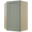 Fabuwood Galaxy Pistachio Green WDC2436 Wall Corner Diagonal Cabinet, Front View