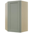 Fabuwood Galaxy Pistachio Green WDC2439 Wall Corner Diagonal Cabinet, Front View