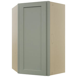 Fabuwood Galaxy Pistachio Green WDC2439 Wall Corner Diagonal Cabinet, Front View