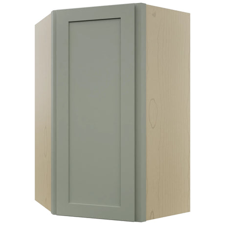 Fabuwood Galaxy Pistachio Green WDC2439 Wall Corner Diagonal Cabinet, Front View