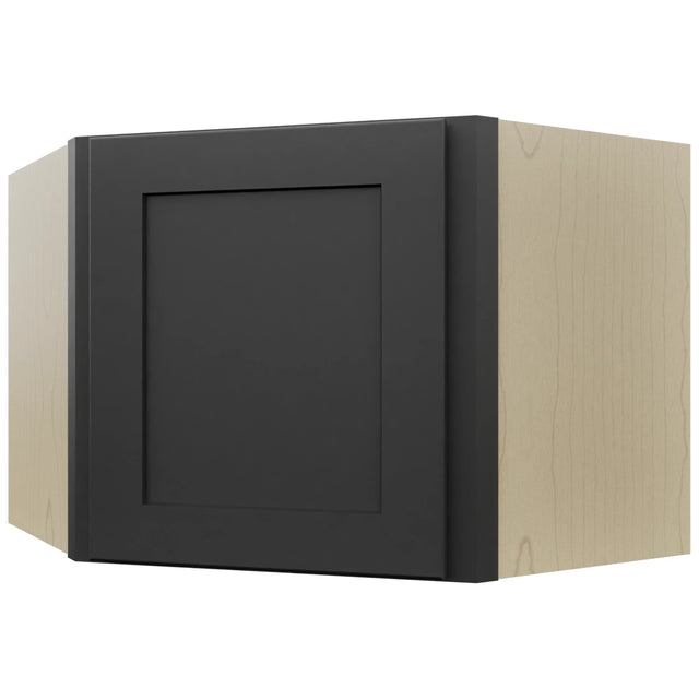 Fabuwood Galaxy Pitch Black WDC2418 Wall Corner Diagonal Cabinet, Front View