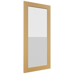 Fabuwood Galaxy Timber DS GDW1839 Wall Glass Door, Front View