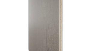 Fabuwood Horizon SK MC Panel, Detail View