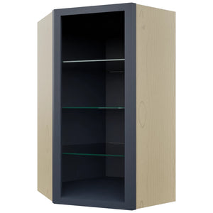Fabuwood Indigo NDWDC2442 Wall Corner Diagonal No Door Cabinet, Front View