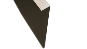 Fabuwood Kona BEP Panel, Detail View