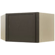 Fabuwood Luna Kona WDC2415 Wall Corner Diagonal Cabinet, Front View