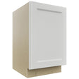 Fabuwood Nexus Frost B21FD Base Full Door Cabinet, Front View