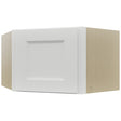 Fabuwood Nexus Frost WDC2415 Wall Corner Diagonal Cabinet, Front View