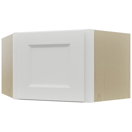 Fabuwood Nexus Frost WDC2415 Wall Corner Diagonal Cabinet, Front View