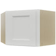 Fabuwood Nexus Frost WDC2418 Wall Corner Diagonal Cabinet, Front View