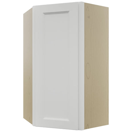 Fabuwood Nexus Frost WDC2442 Wall Corner Diagonal Cabinet, Front View