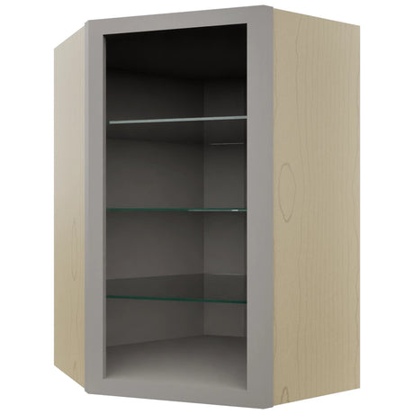 Fabuwood Nickel NDWDC2436 Wall Corner Diagonal No Door Cabinet, Front View