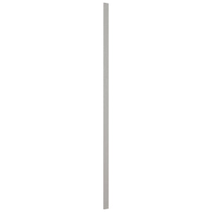 Fabuwood Nickel TF3120 Tall Filler, Front View