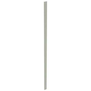 Fabuwood Pistachio Green TF3120 Tall Filler, Top View