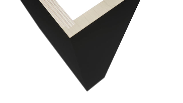 Fabuwood Pitch Black DWR6 Panel, Detail View