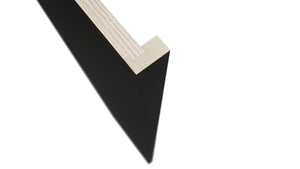 Fabuwood Pitch Black REP1-1/2 Panel, Detail View