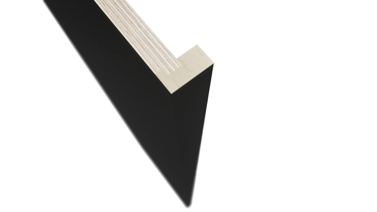 Fabuwood Pitch Black REP30120 x 1-1/2 Panel, Detail View