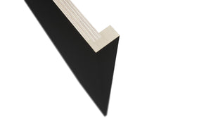 Fabuwood Pitch Black REP30120 x 1-1/2 Panel, Detail View