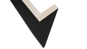 Fabuwood Pitch Black REP30120 x 3 Panel, Detail View