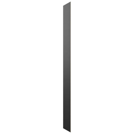 Fabuwood Pitch Black SK T12D Panel, Front View