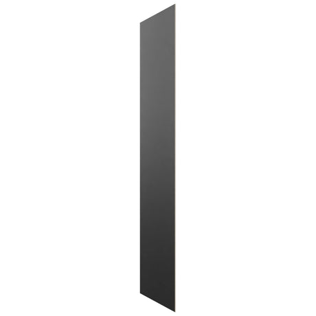 Fabuwood Pitch Black SK TALL Panel, Front View