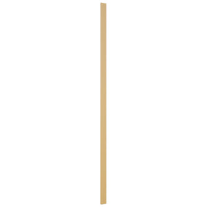 Fabuwood Timber OLF390 Tall Filler Overlay, Front View