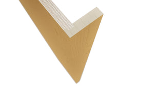 Fabuwood Timber REP3 Panel, Detail View