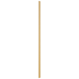 Fabuwood Timber TF3120 Tall Filler, Front View